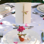 Natural Design Wedding Invitations