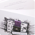 Purple Mountain Designs