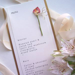 pocketfold invitations