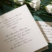 Letterpress - Shelley
