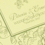 Pocketfold Wedding Invitation - Musca